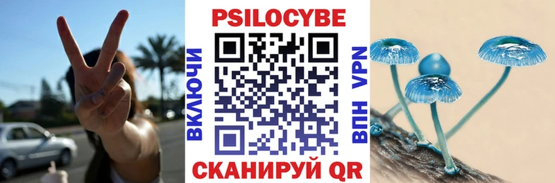 Псилоцибиновые грибы мицелий  Алагир 